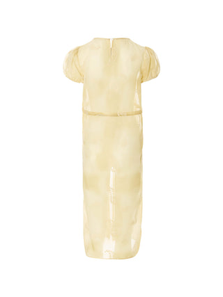 Yellow Paisley Sheer Layered Dress Set