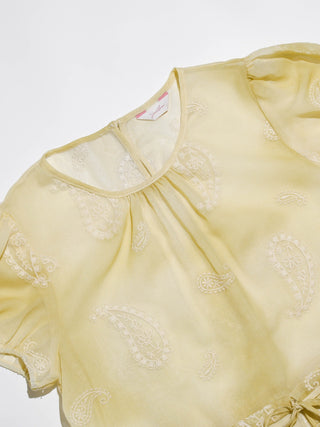 Yellow Paisley Sheer Layered Dress Set